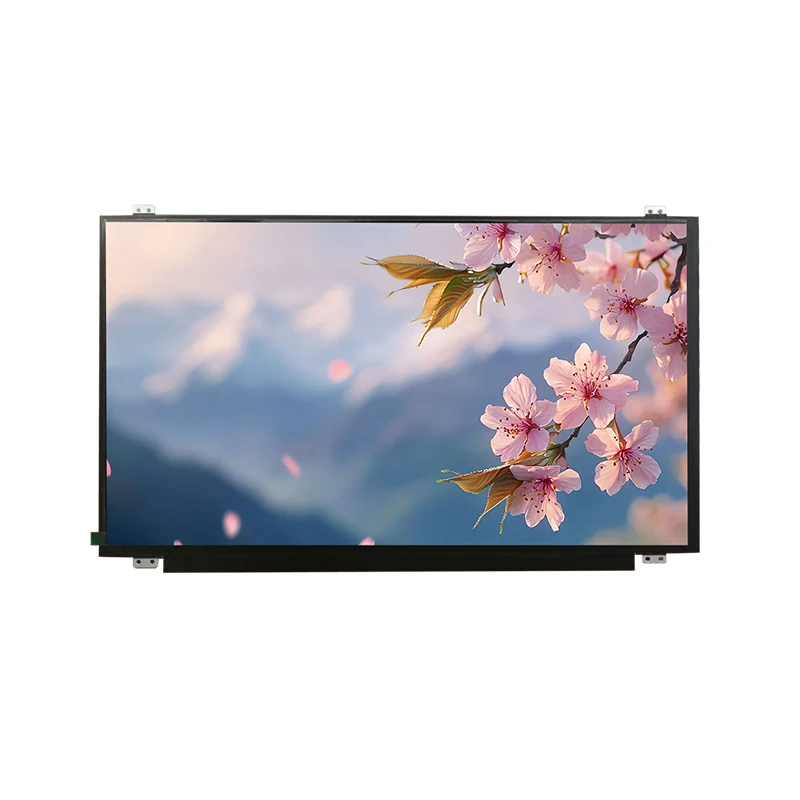 15.6 'HD Wide Temp IPS TFT LCD -schermmodule