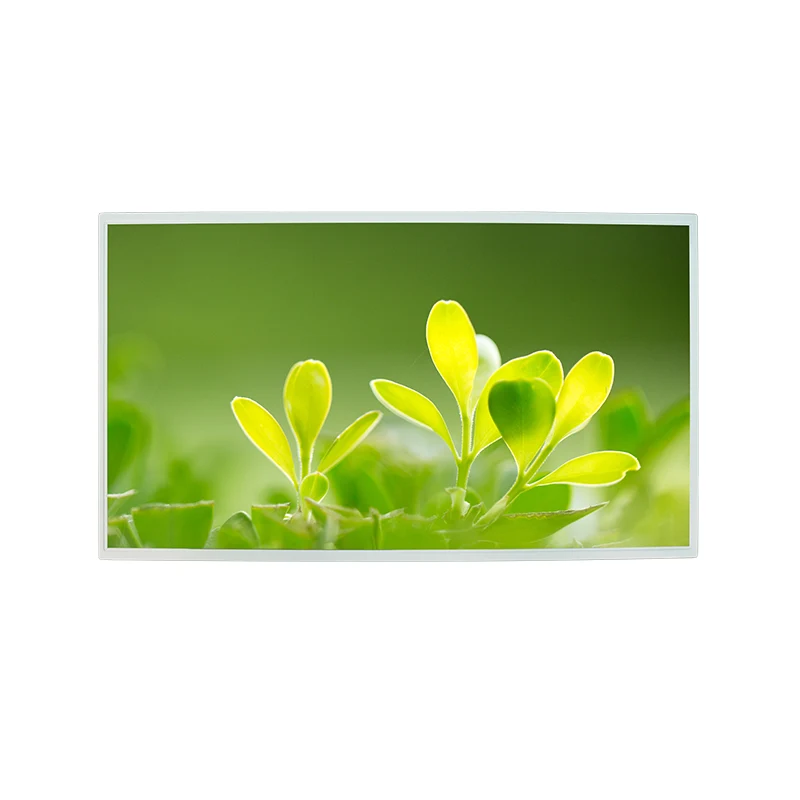21.5 'Hoge helderheid FHD IPS Color TFT LCD Display Module