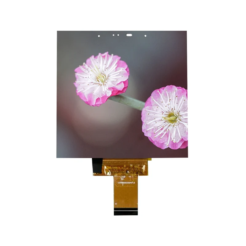3,95 inch RGB 480X 480 brede temperatuur IPS dunne in-cell touchscreenmodule 3,95 inch RGB 480X 480 brede temperatuur IPS dunne in-cell touchscreenmodule